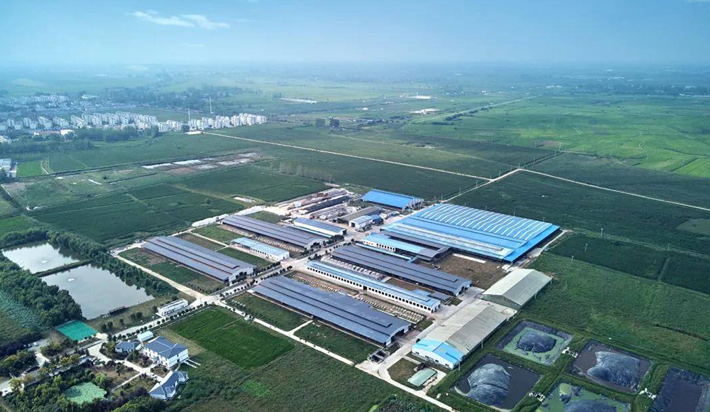 南京卫岗乳业有限公司